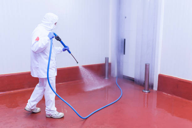 Trusted Vonore, TN Pressure Washing Services Experts