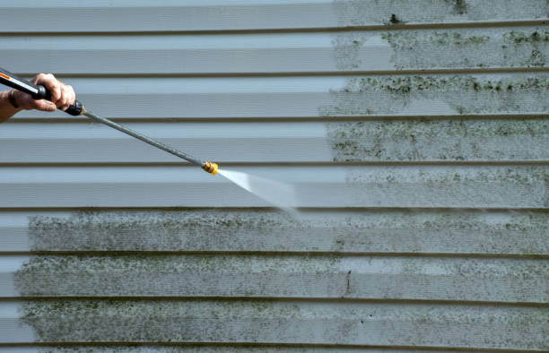 Best Dumpster Area Cleaning  in Vonore, TN